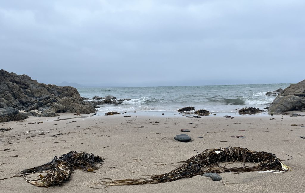 A Reflection: Pictures Tell Stories