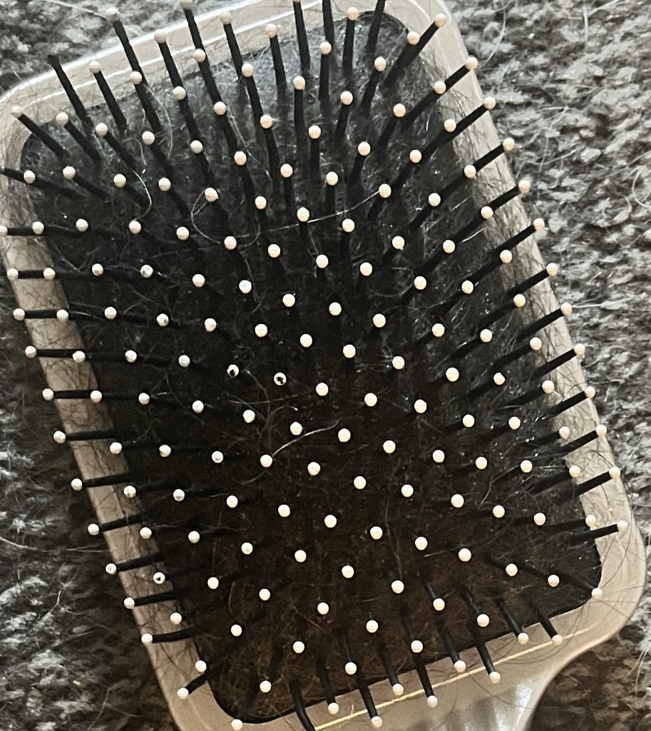 Lovely, Lovely, Fresh Hair!